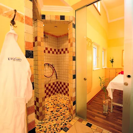 Enzian Paznaun Hotel 3*