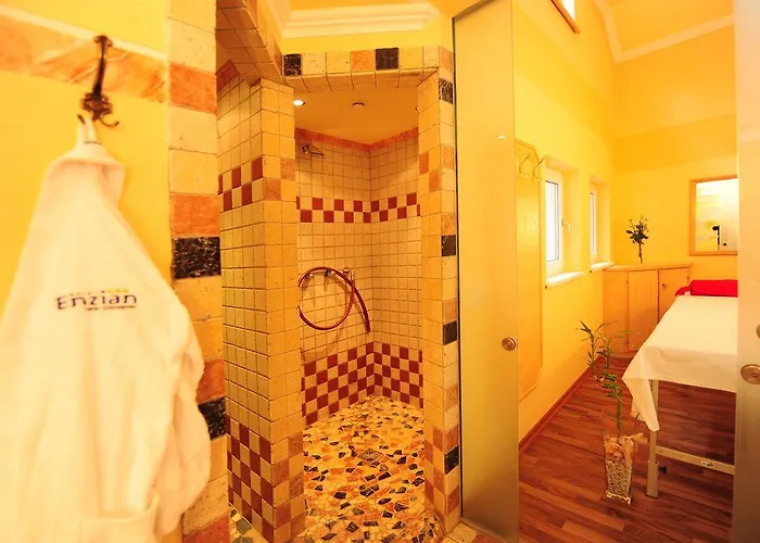 Hotel Enzian Paznaun 3*